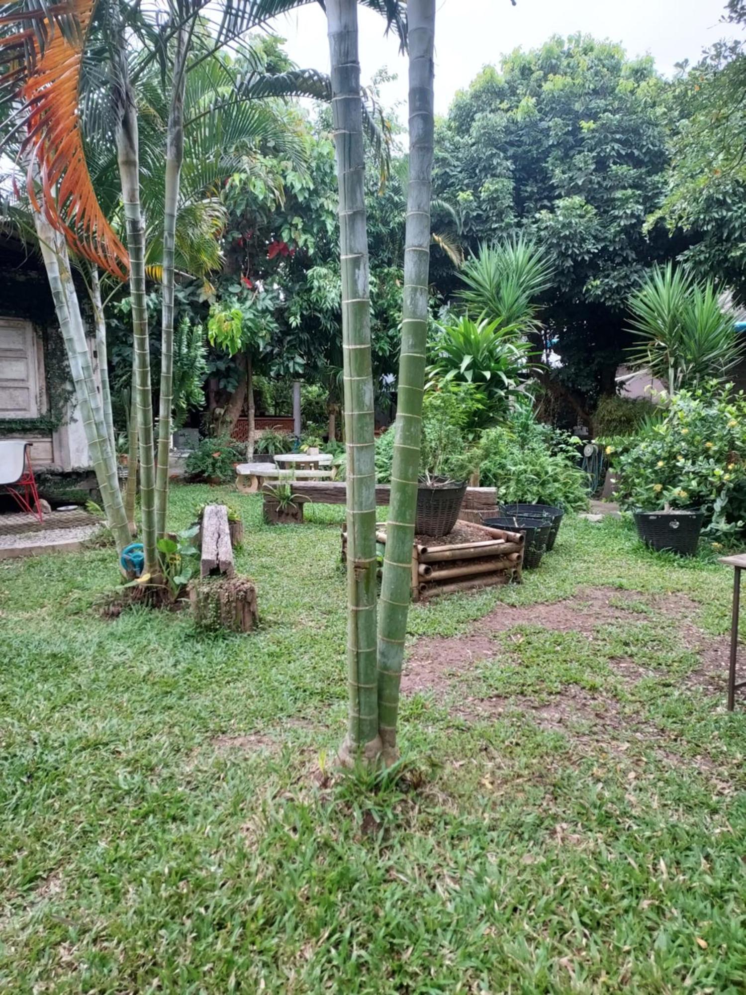 Kwanlah Homestay แม่แจ่ม ภายนอก รูปภาพ