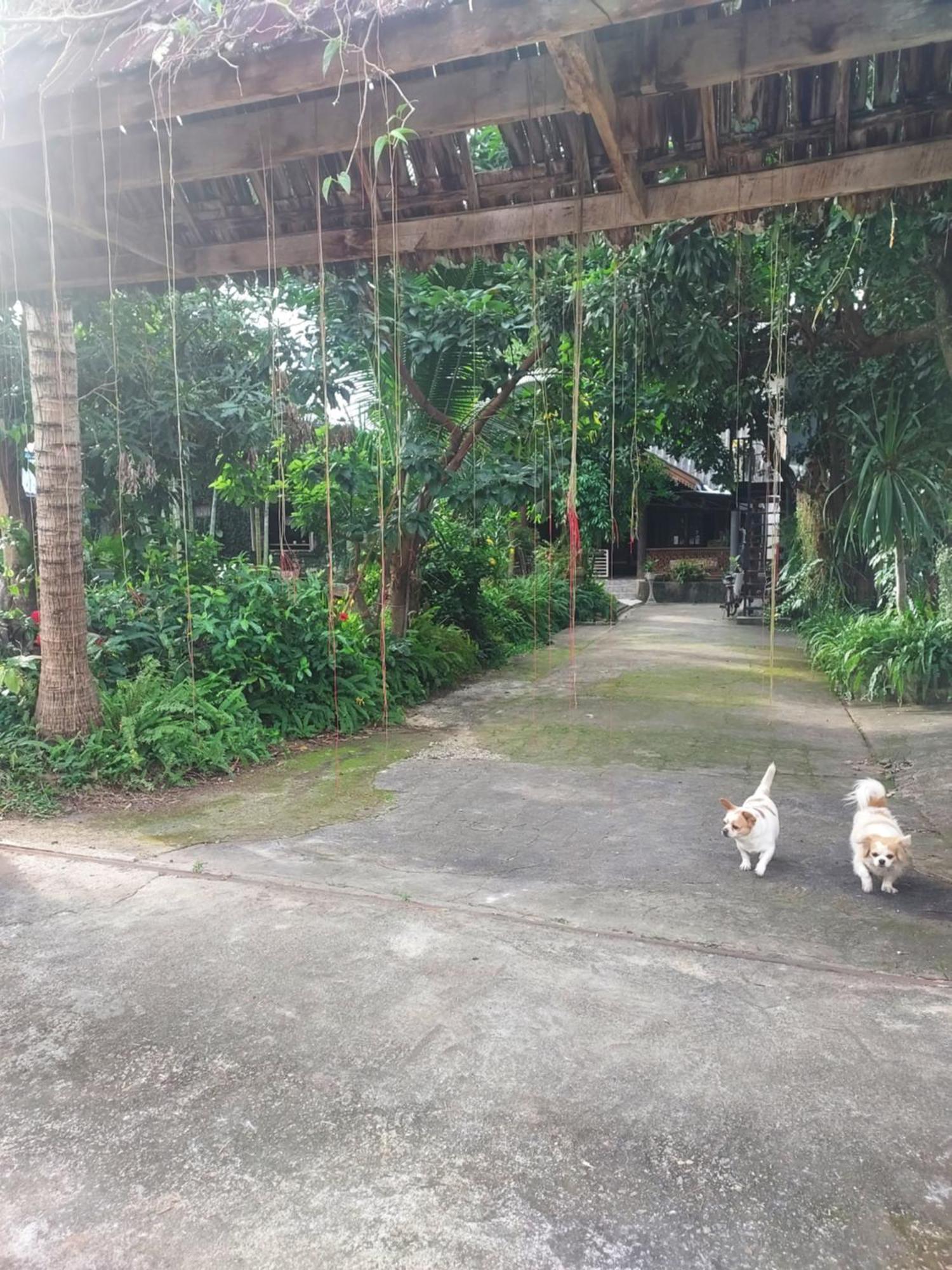 Kwanlah Homestay แม่แจ่ม ภายนอก รูปภาพ